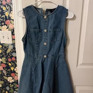 Vici Denim Mini Dress in Medium Blue